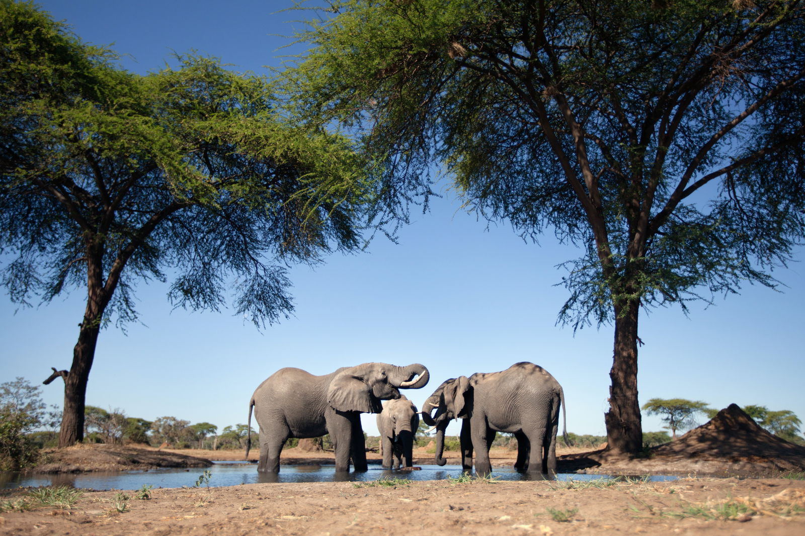 Main cover image for Botswana, Africa