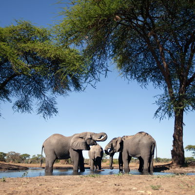 Main cover image for Botswana, Africa