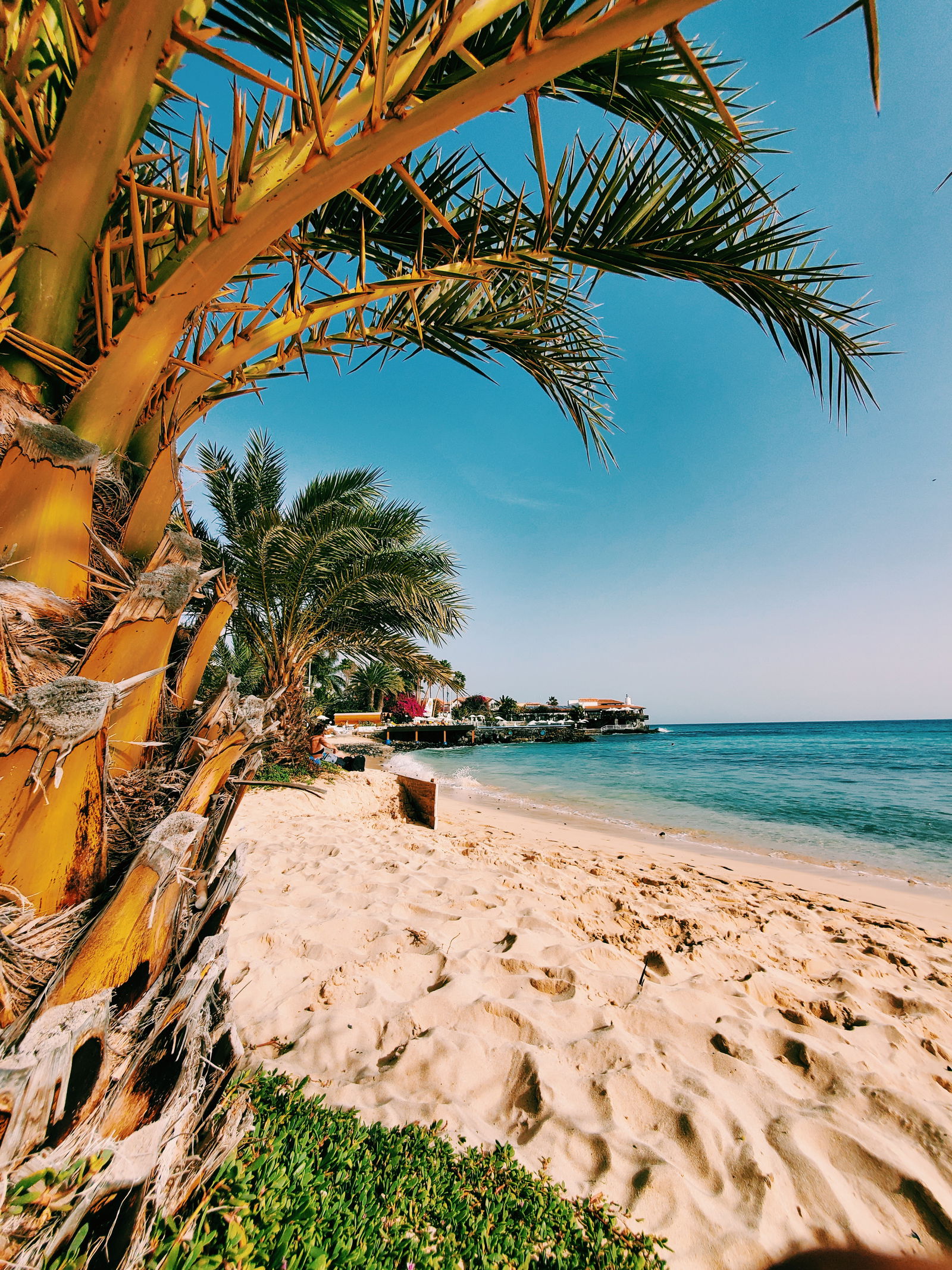 Main cover image for Cape Verde, Africa