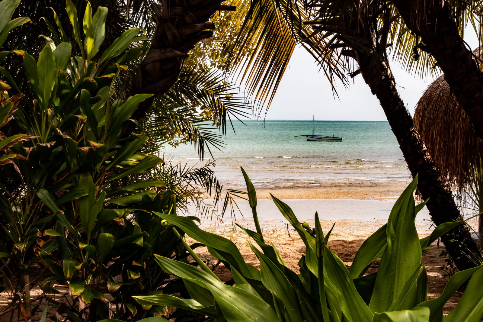 Main cover image for Mozambique, Africa