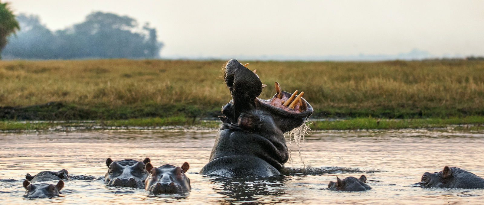 Main cover image for Zambia, Africa