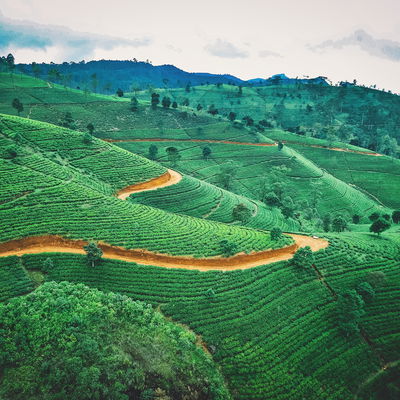 Main cover image for Sri Lanka, Indian Subcontinent, Asia