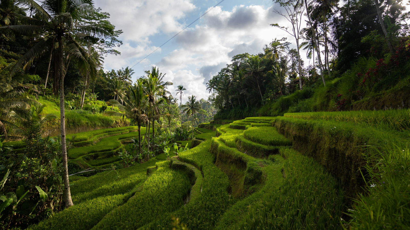 Main cover image for Bali, South East Asia, Asia