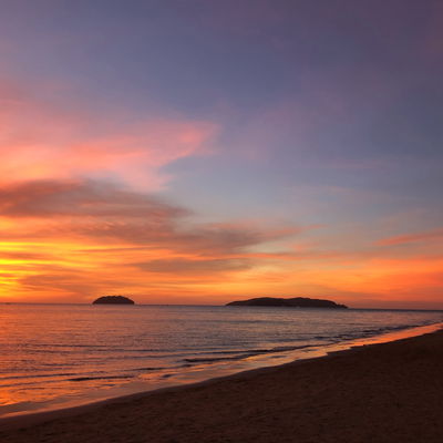 Main cover image for Borneo, South East Asia, Asia