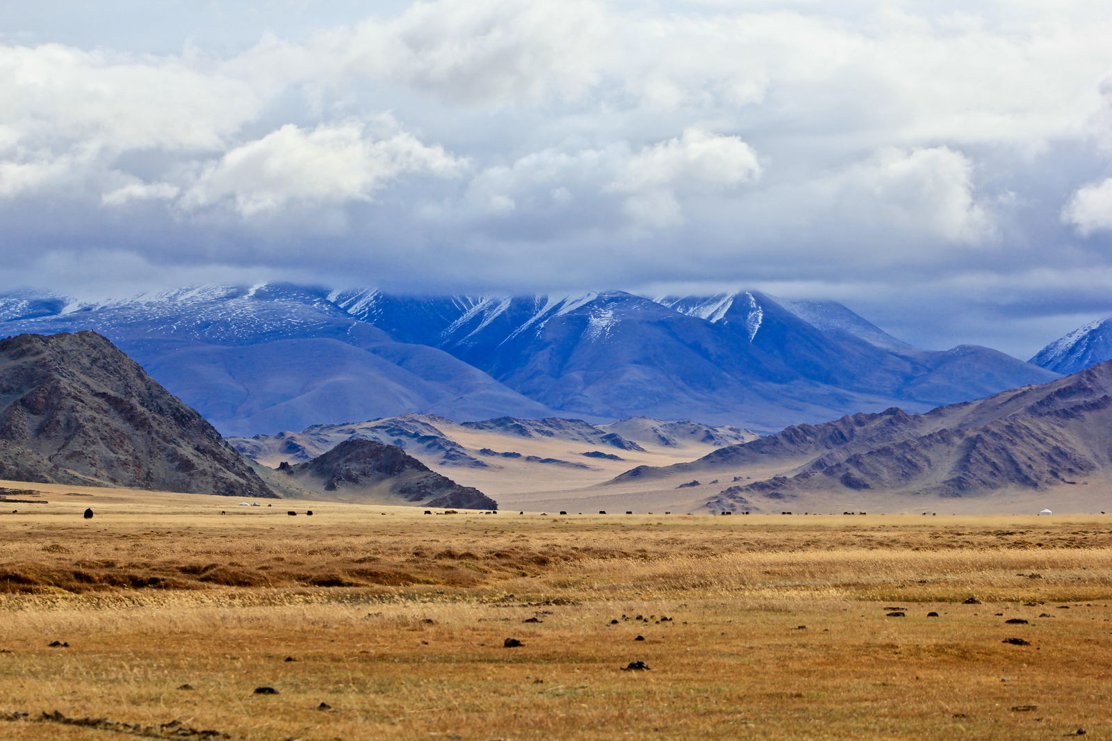 Main cover image for Mongolia, The Far East, Asia