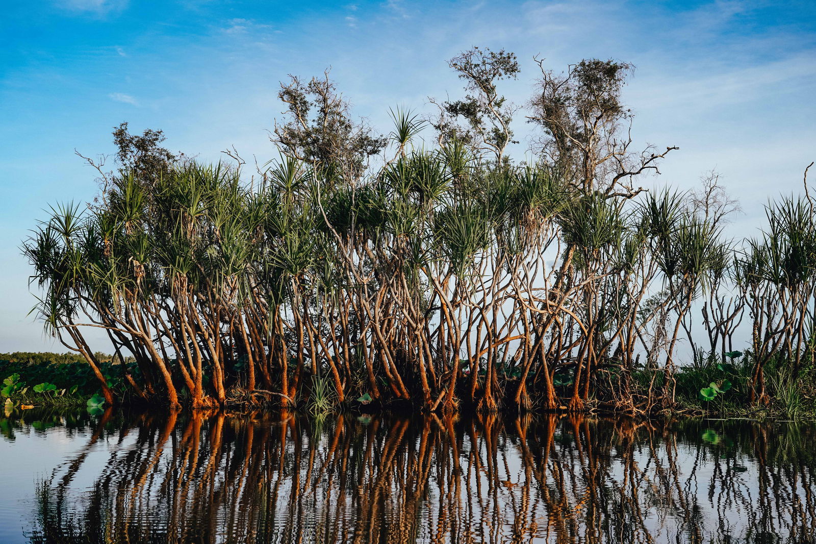 Main cover image for Kakadu National Park, Australia