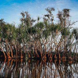 Australia | Kakadu National Park | Travel Facts