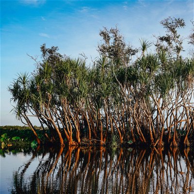 Main cover image for Kakadu National Park, Australia