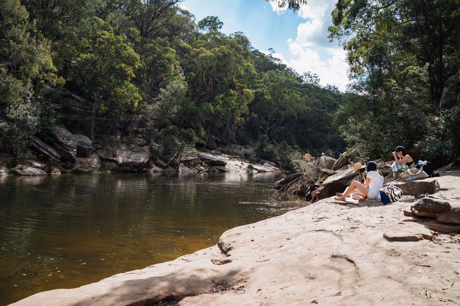 Main cover image for The Blue Mountains, Australia